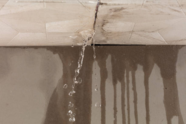 Professional Structural Drying technician working in Hamilton, TX